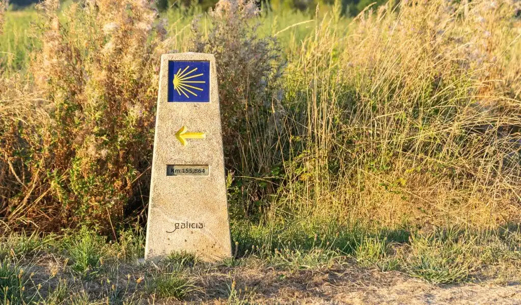 Camino de Santiago en Bicicleta Eléctrica