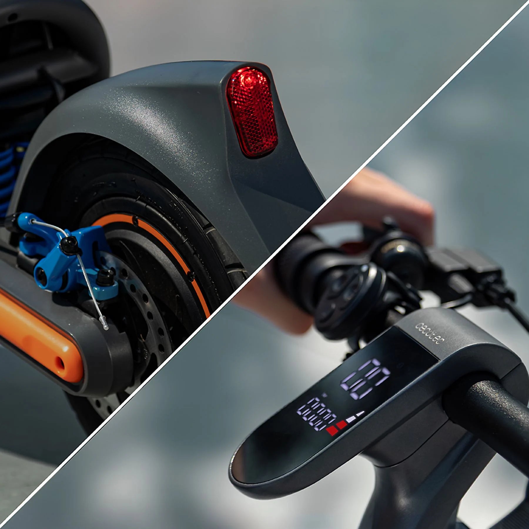 Bongo GS65 2x2 XXL Connected