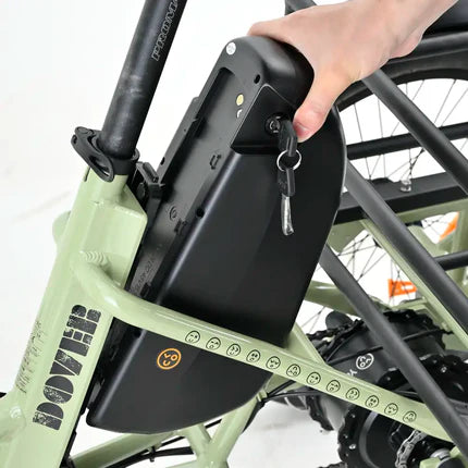 Triciclo eléctrico Youin Dover