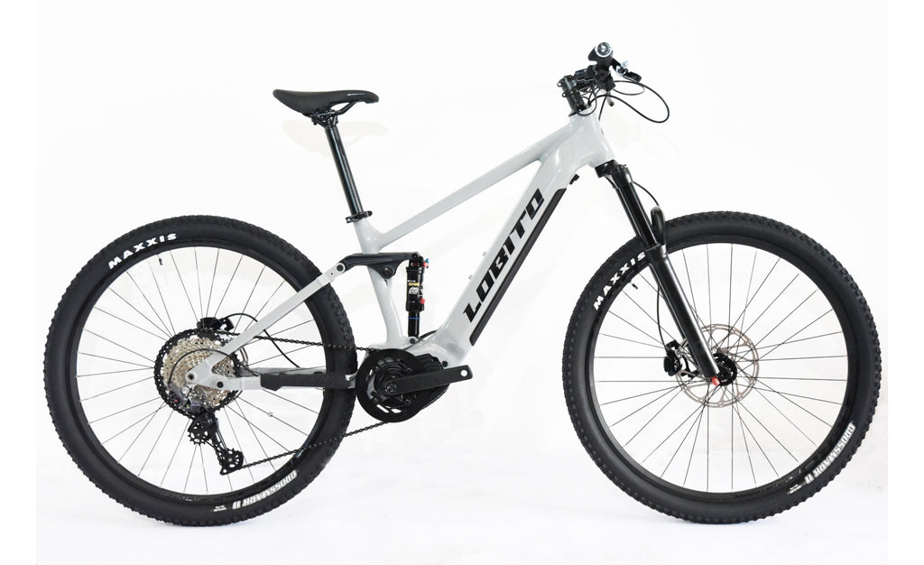 Bicicleta Lobito EON FL