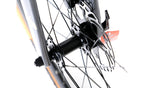 Lobito GV10 2024