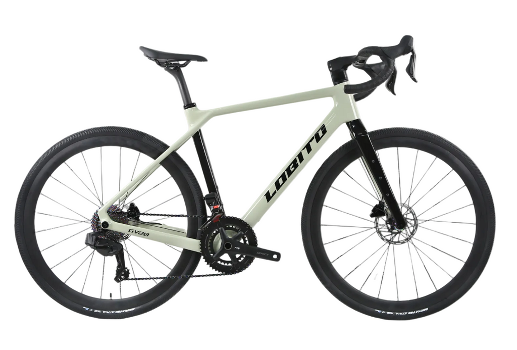 Bicicleta Lobito GV20 2025