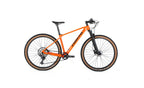 Bicicleta Lobito MT10