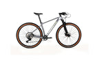 Bicicleta Lobito MT10