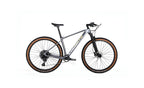 Bicicleta Lobito MT12