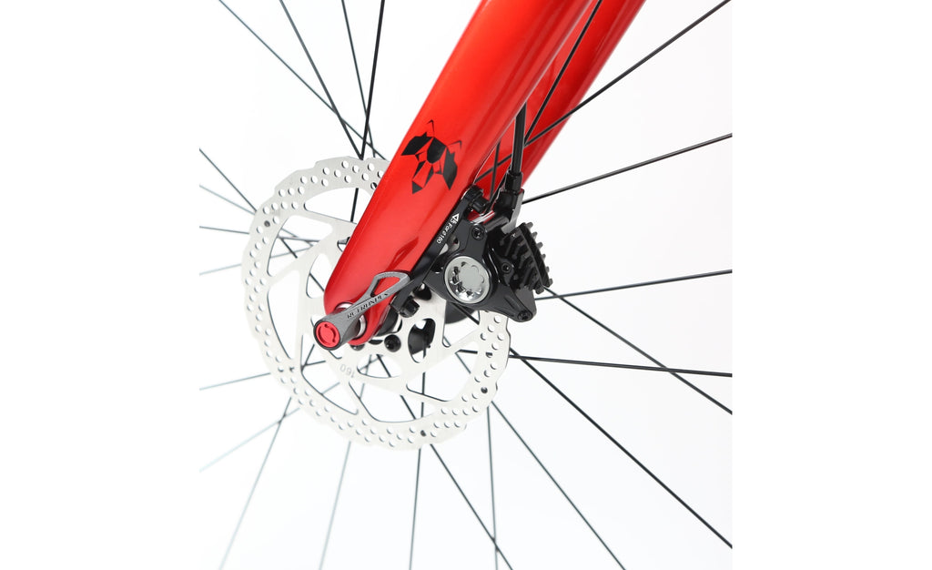 Lobito RV10 2024