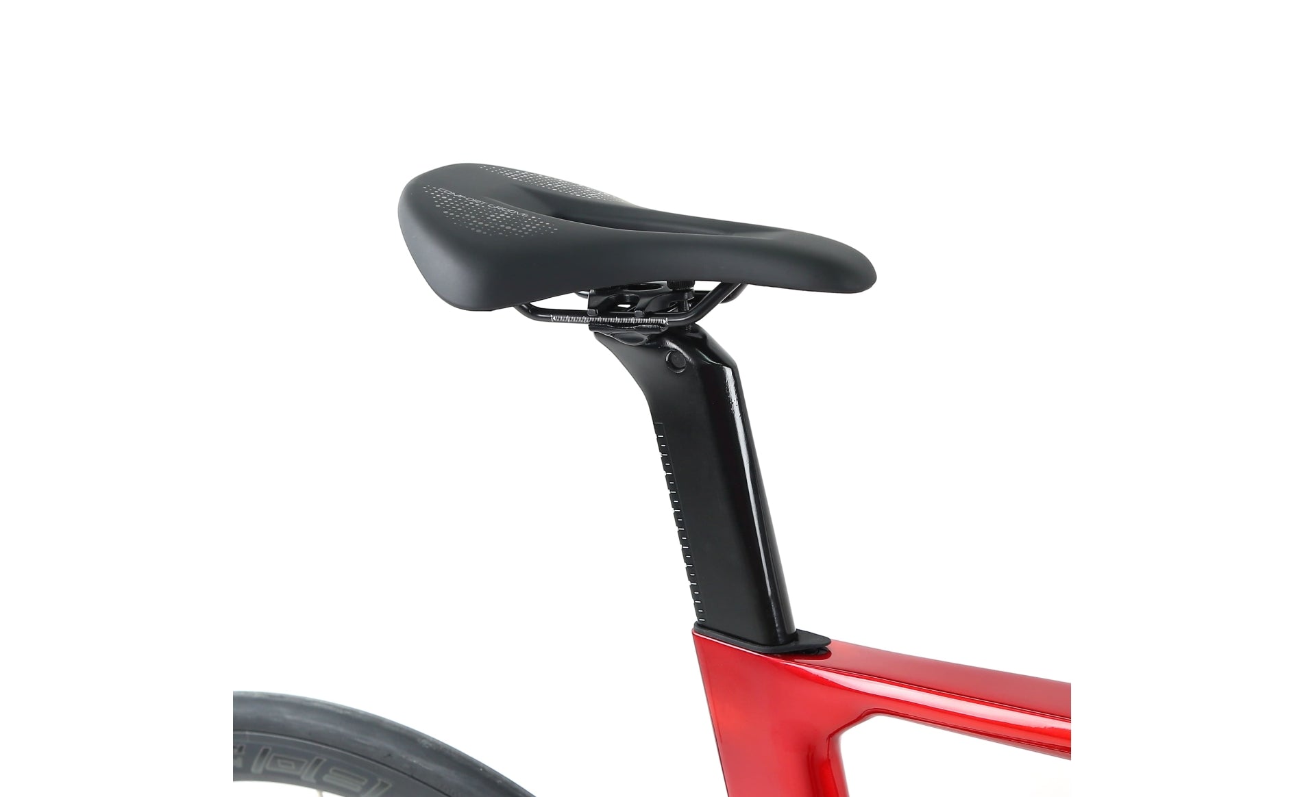 Lobito RV10 2024