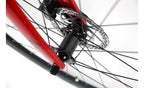 Lobito RV10 2024