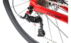 Lobito RV10 2024