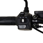 Moto eléctrica Delivery