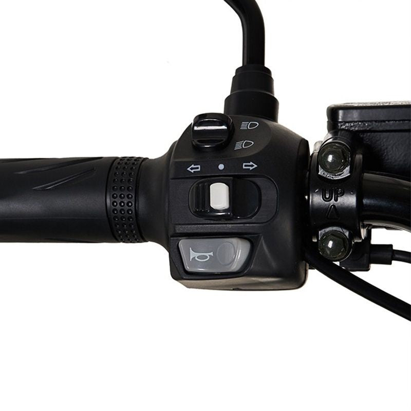 Moto eléctrica Delivery