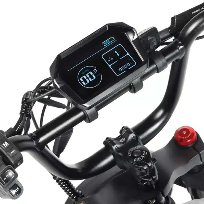 Bici eléctrica Youin Fat bike las vegas