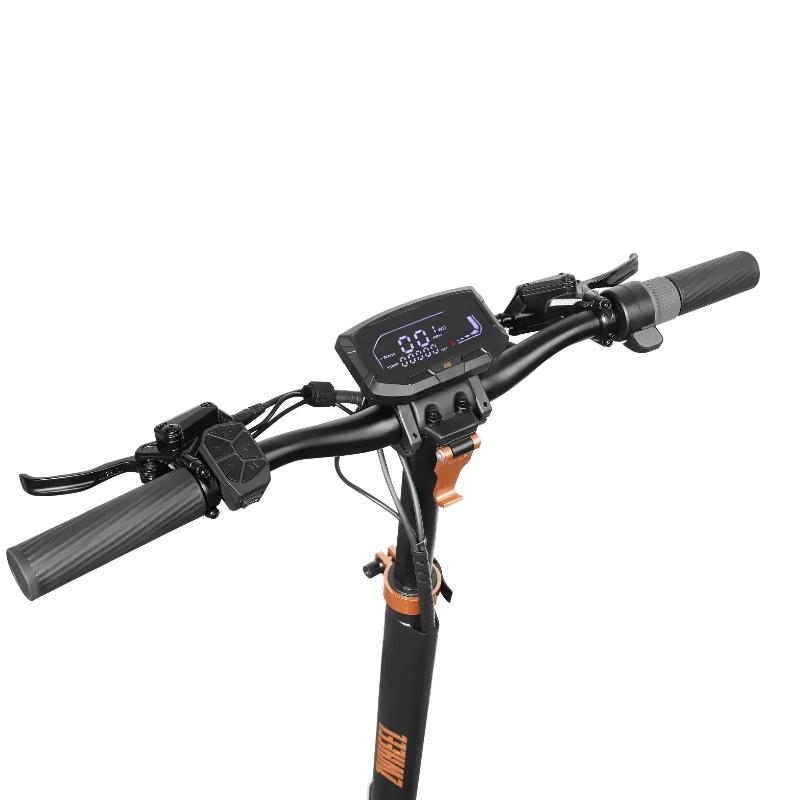 Patinete ZWolf Plus Homologado zwheel